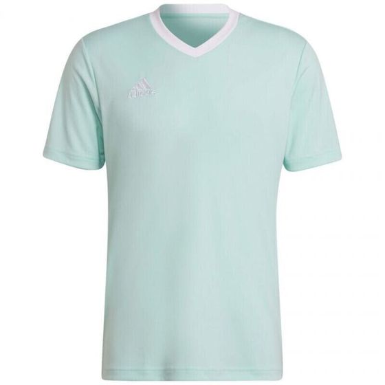 Мужская спортивная футболка голубая с логотипом T-shirt adidas Entrada 22 Jersey M HC5073