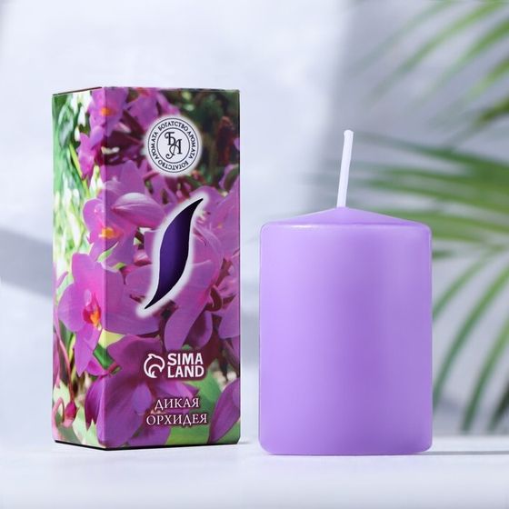 Свеча ароматическая &quot;Дикая орхидея&quot;, 4×6 см, в коробке