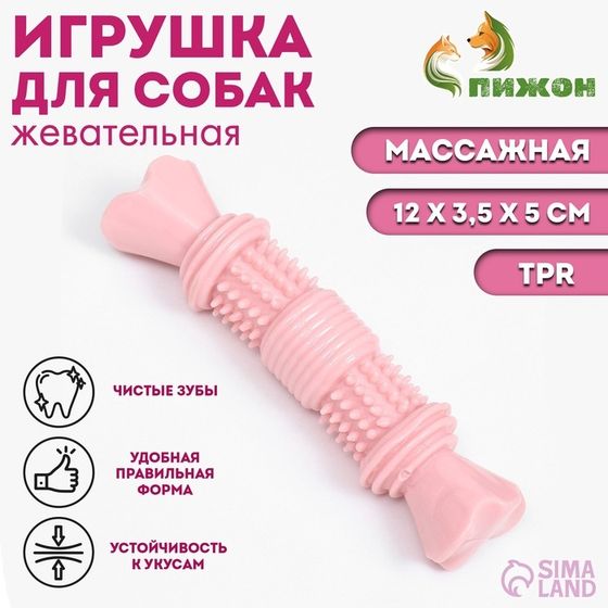 Игрушка для собак &quot;Шипастая кость&quot;, TPR, массажная,14 х 3,5 х 5, розовая