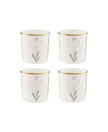 Botanical 4 Piece Cup Set, Service for 2