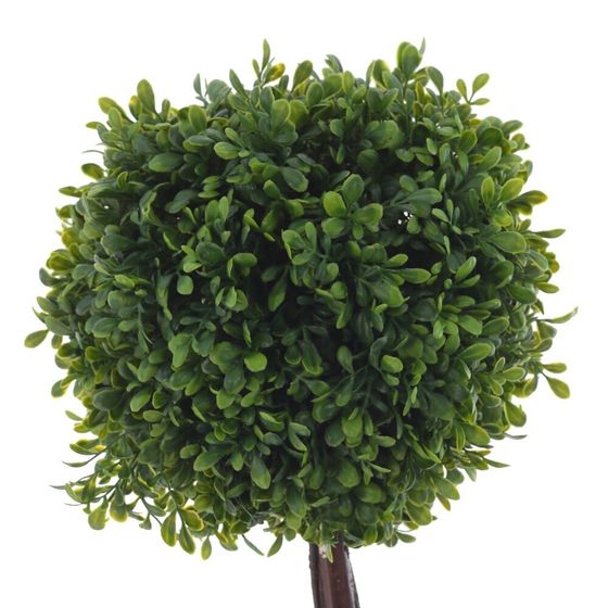 Цветочная композиция &quot;Самшит&quot;, L27 W27 H55 см