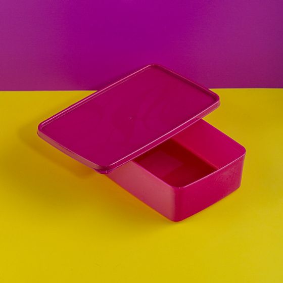 Контейнер для заморозки ALASKA 2.1л фуксия