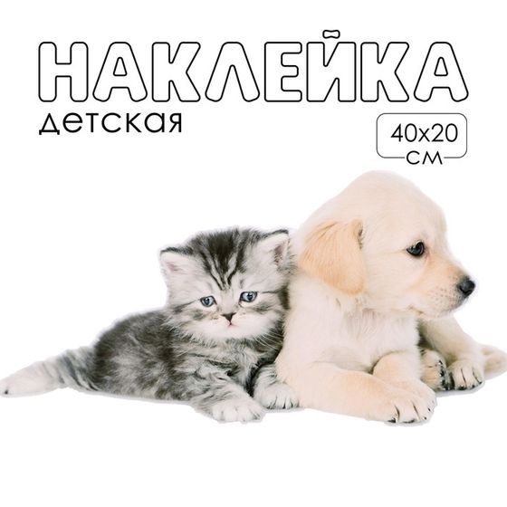 Наклейка 3Д интерьерная Домашние питомцы 40*20см