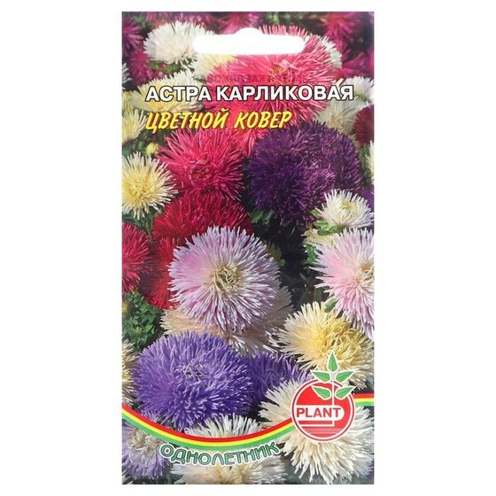 Семена цветов Астра Карликовая &quot;Цветной ковер&quot;, 0,1 г