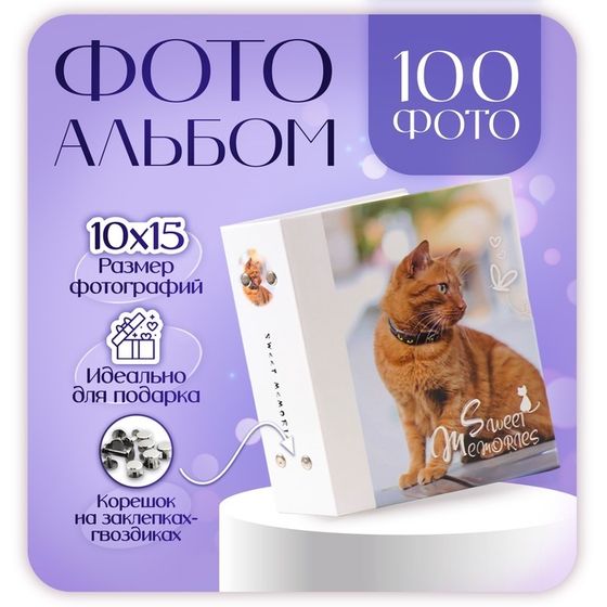 Фотоальбом на 100 фотографий &quot;Кошки-4, кот рыжий&quot; 10x15 см