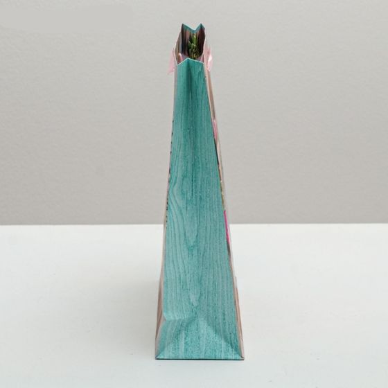 !09 НАБОР 2 ШТУКИ - Пакет ламинированный вертикальный «Поздравляю!», ML 23 × 27 × 11,5 см