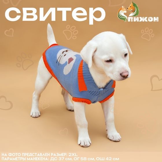 Свитер &quot;Зайка&quot;, 2XL (ДС 34, ОШ 34, ОГ 32-51 см)