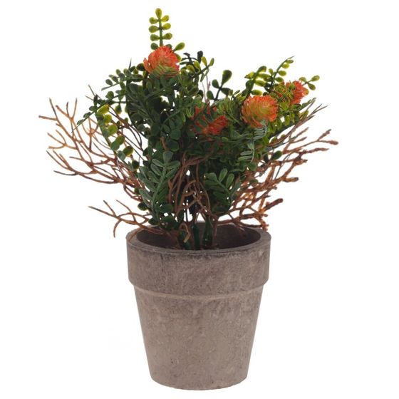 Цветочная композиция, L9 W9 H18 см, 5в.