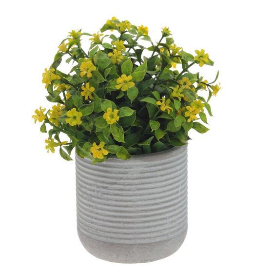 Цветочная композиция, L11 W11 H17 см, 3в.