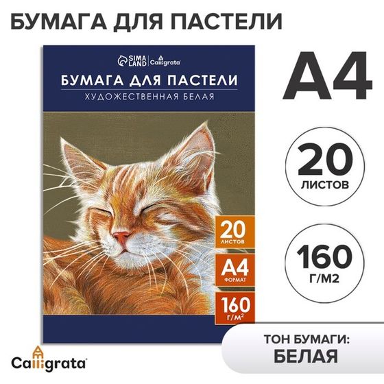 Бумага для пастели А4, 20 листов &quot;Кот&quot;, блок 160 г/м2, в папке