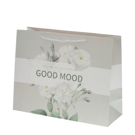 Пакет подарочный L (бумага 250г/м2, блок 12шт), L42 W15 H33 см, 4в.