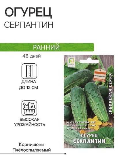 Семена Огурец &quot;Серпантин&quot; 15 шт
