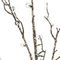 Изделие декоративное &quot;Ветка, L29 W1 H79 см
