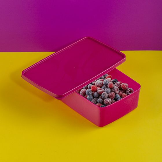 Контейнер для заморозки ALASKA 2.1л фуксия