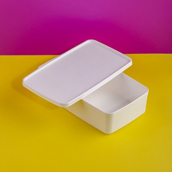 Контейнер для заморозки ALASKA 2.1л белый