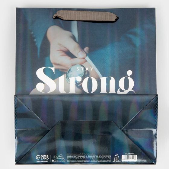 !09 Пакет ламинированный (набор 4 штуки) «Никогда не сдавайся» радужная голография, ML 23 х 27 х 11,5 см