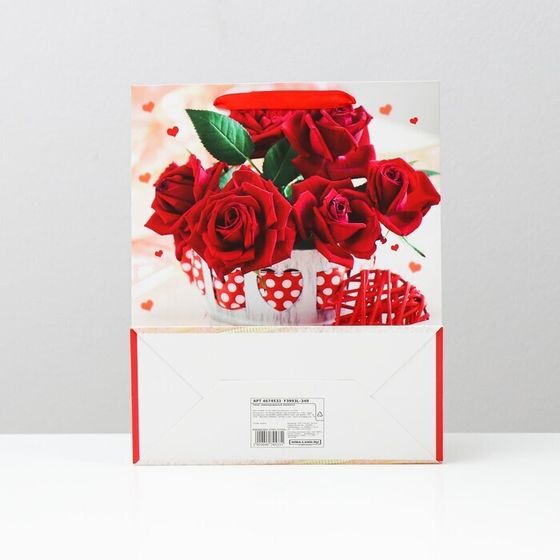 !09 Пакет (набор 3 штуки) ламинированный 26 x 32 x 12 см.