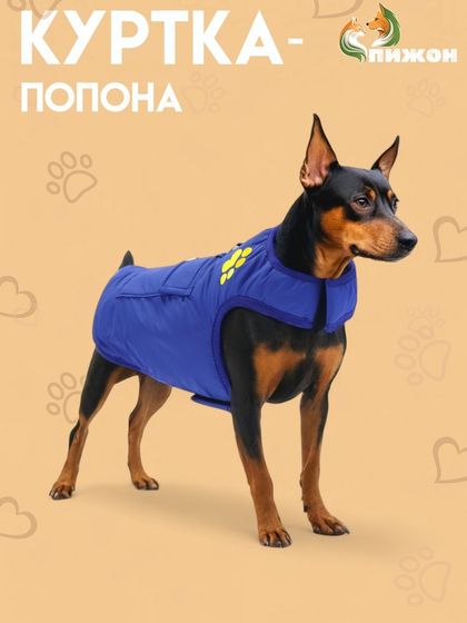 Куртка - попона двусторонняя, размер ХL (ДС 40, ОГ 54 см, вес 11-19 кг), синяя
