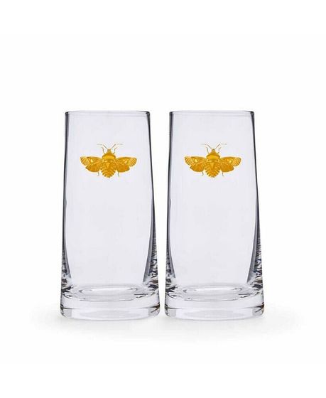 Creatures of Curiosity Highball Glasses Set, 2 Pieces