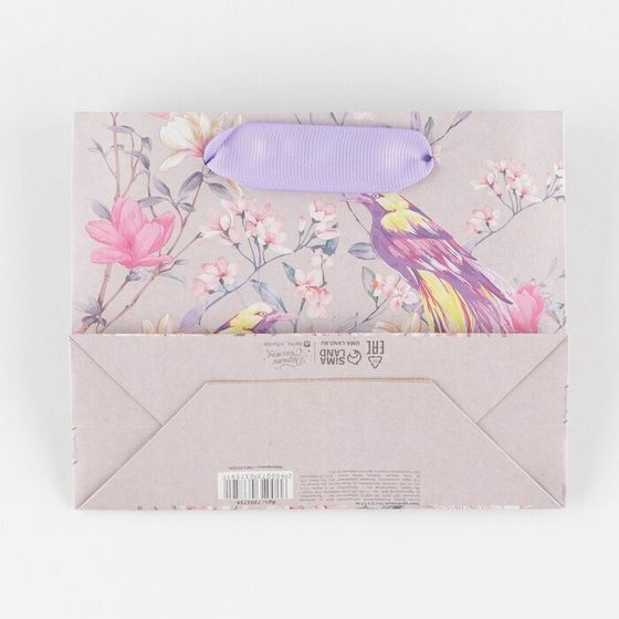 !Пакет крафтовый 2 штуки вертикальный «Птицы», 15 × 12 × 5.5 см