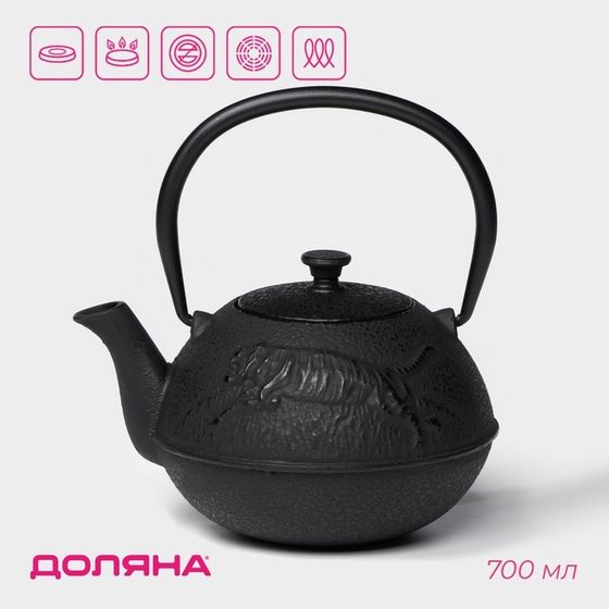 Чайник для плиты Доляна «Чёрный тигр», 700 мл, с ситом, чугун, эмалированное покрытие внутри, индукция, цвет чёрный