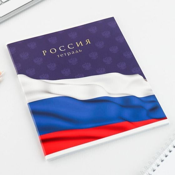 !09 Набор 4 штуки - Тетрадь А5, 48 л на скрепке МИКС «Шрифтовые яркие», обложка мелованный картон 230 гр., внутренний блок №1, в клетку 80 гр., белизна 96%