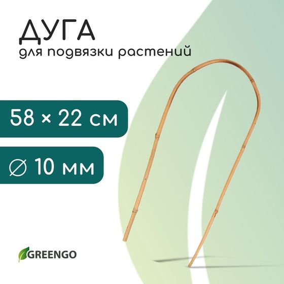 Дуга для подвязки растений, h=60 см, бамбук, Greengo