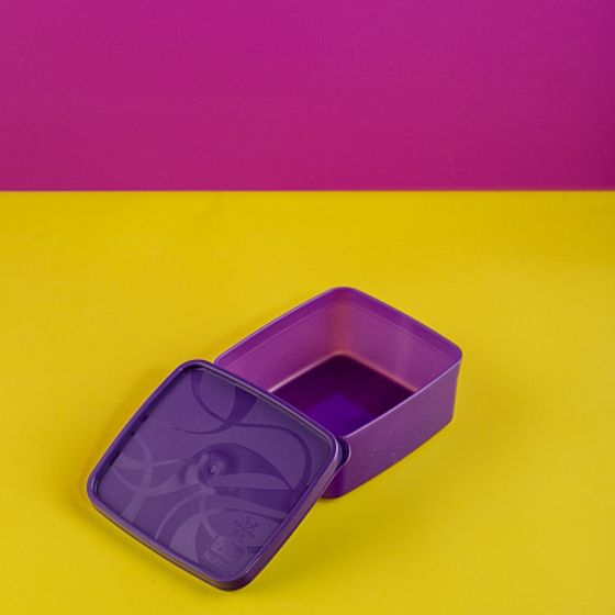 Контейнер для заморозки ALASKA 0.65л фиолетовый