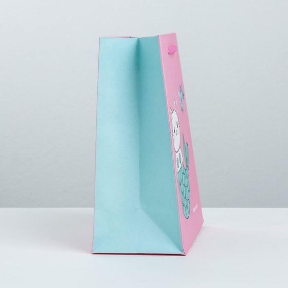 !09 НАБОР 4 ШТУКИ - Пакет подарочный «Буль-буль», 14,5 × 19,5 × 8,5 см.