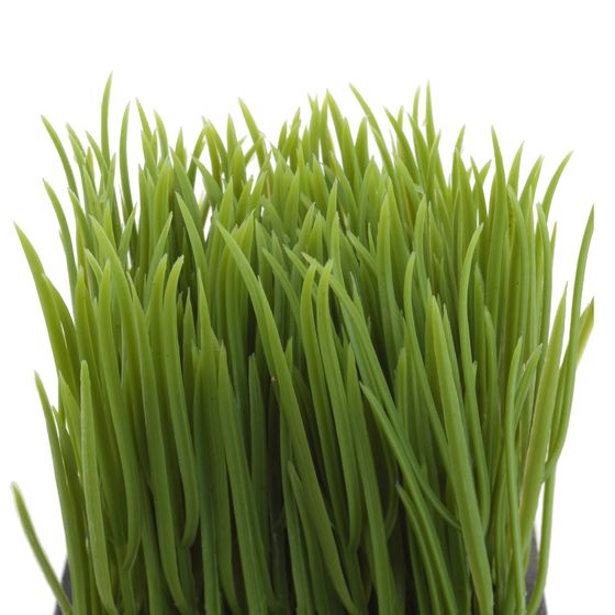 Цветочная композиция &quot;Осока&quot;, L10 W10 H16 см