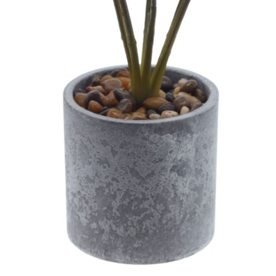 Цветочная композиция &quot;Маранта&quot;, L10 W10 H35 см