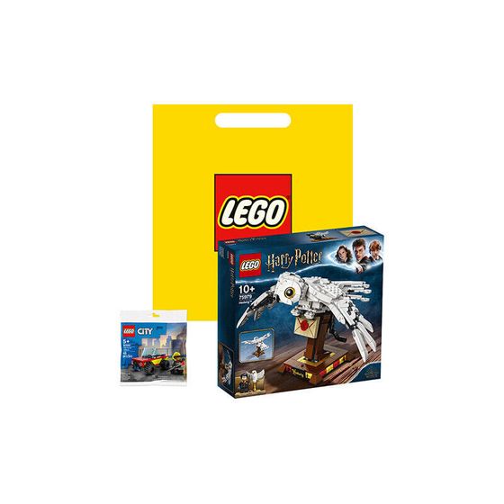 LEGO Harry Potter Collection Hedwig &amp; Random Style Лоскутная сумка и сумка для покупок Строительные блоки 75979 Набор