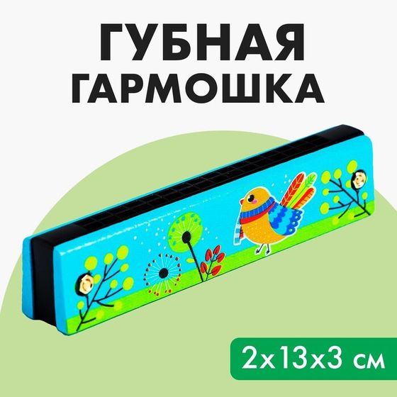 Губная гармошка «Курочка», размер 2×13×3 см, цвет бирюзовый