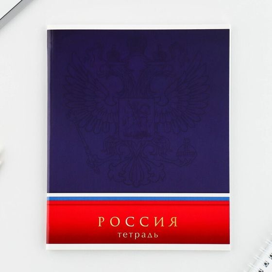 !Тетрадь А5, 48 л на скрепке 3 штуки МИКС «Шрифтовые яркие», обложка мелованный картон 230 гр., внутренний блок №1, в клетку 80 гр., белизна 96%!