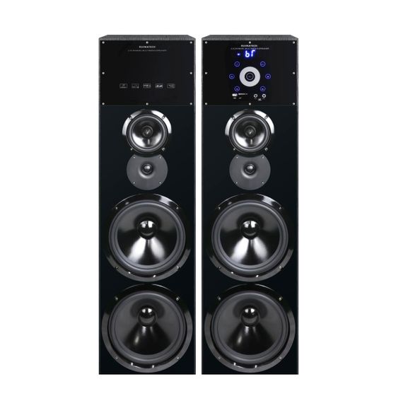 Колонки 2.0 Ruimatech VA-7910 (L+R) 2х130W, пульт д/у