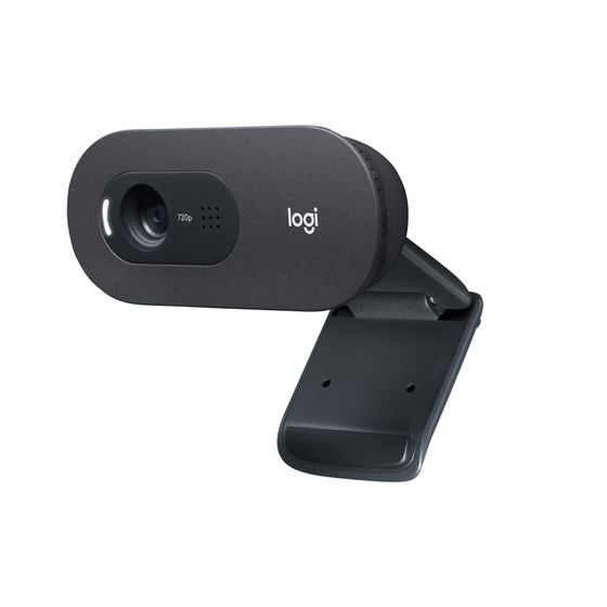 Камера Web Logitech WebCam C505e черный 1,2МП USB2.0 (960-001372)