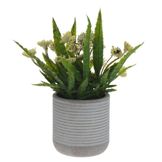 Цветочная композиция, L9 W9 H18 см, 5в.