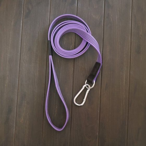 Чумбур прорезиненный, 2.5 метра, с карабином и кольцом, фиолетовый