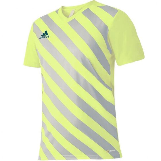 Мужская спортивная футболка желтая с полосками T-shirt adidas Entrada 22 Graphic Jersey M HF0118