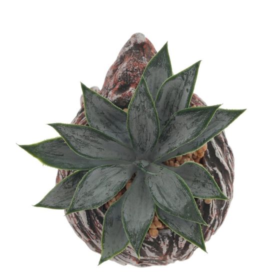 Цветочная композиция &quot;Суккулент&quot;, L14 W12 H12 см, 4в.