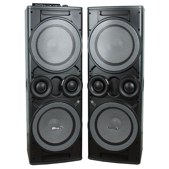 Колонки 2.0 Eltronic 20-06 TWIN BOX динамик 4шт/12&quot; комплект 2 колонки 2х110Вт