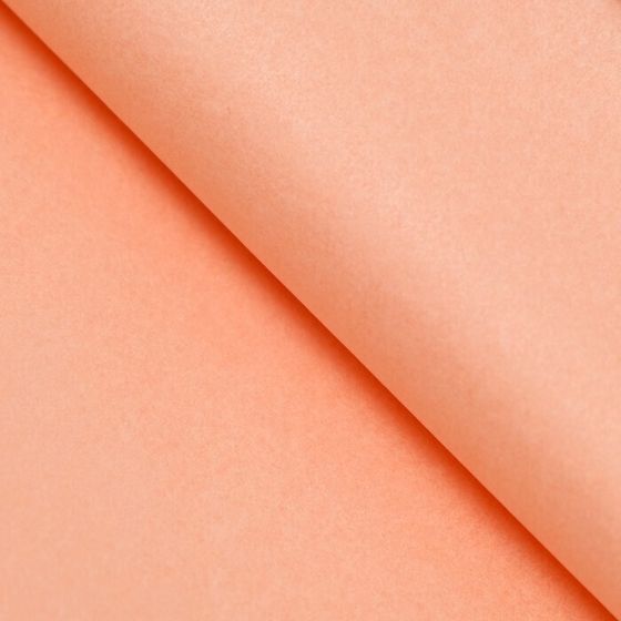 !Бумага тишью 5 листов палитра №2, &quot;МИКС&quot;, 50 х 66 см/5 цветов/