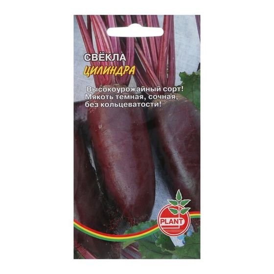 Семена Свекла &quot;Цилиндра&quot;, 1 г