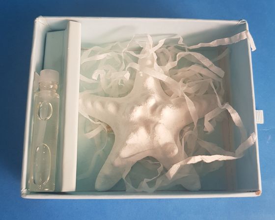 !09 Набор ароматический &quot;Ocean&quot; 2 предмета (аромамасло+ гипсовое изделие Звезда ) 9,2×8,1×3,5 см.