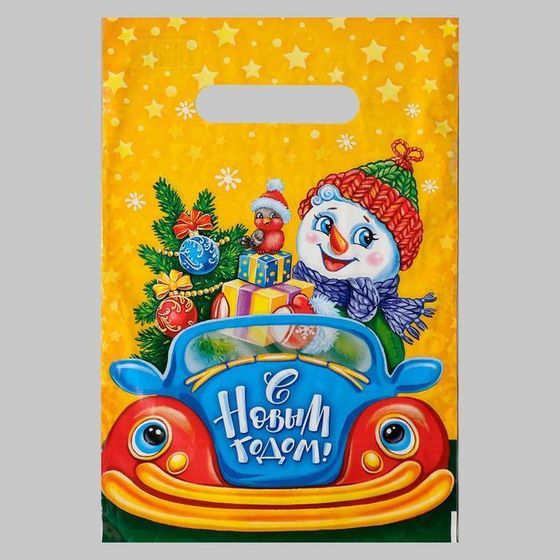 !09 Пакет &quot;За рулем&quot; (набор 26 штуки) полиэтиленовый с вырубной ручкой, 30 мкм 20 х 30 см.