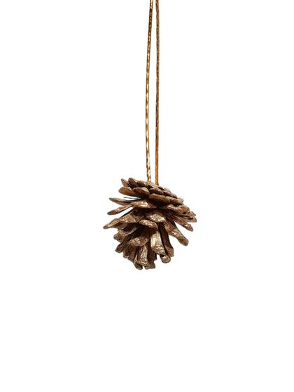 !09 Ёлочные игрушки «Сюрприз», шары новогодние, набор 17 штук (4 шишки, 4 подарка, 4 банта, 4 шара, 5 шариков) цвет коричнево-золотой