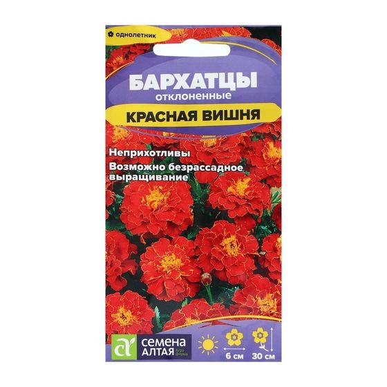 Семена цветов Бархатцы &quot;Красная Вишня&quot;, ц/п,  О, 0,2 г.