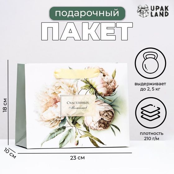 Пакет ламинированный горизонтальный «Милые пионы», 23×18×10 см
