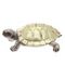 Фигурка декоративная &quot;Черепаха&quot;, L9 W6,5 H4 см