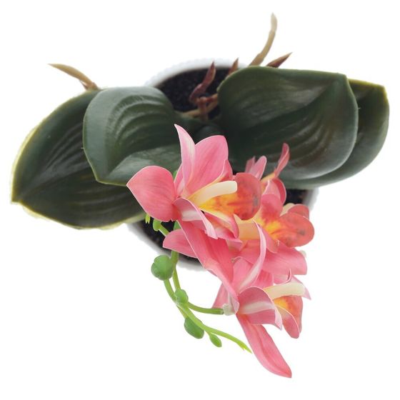 Цветочная композиция "Орхидея", L12,5 W11 H26 см